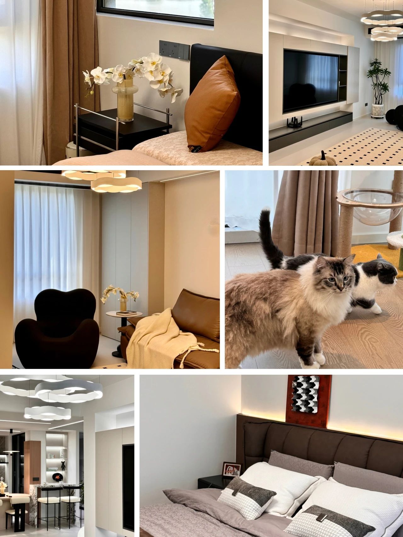 1730166972585662.jpg 微信圖片_20241029095331.jpg